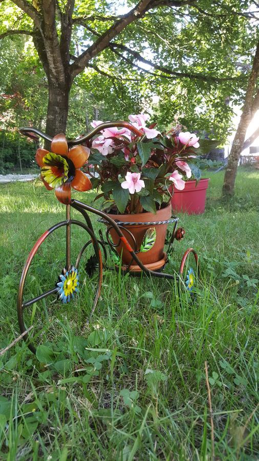 Le Saule Reveur Bed & Breakfast ดีย์ ภายนอก รูปภาพ